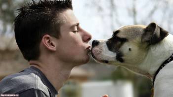 Любовь с первого взгляда, обои - любовь, , любовь, собака, парень, мужчина, поцелуй