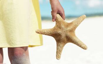 Морская звезда в руке - обои  2560x1600 пикселей, , рука, море, звезда, пляж