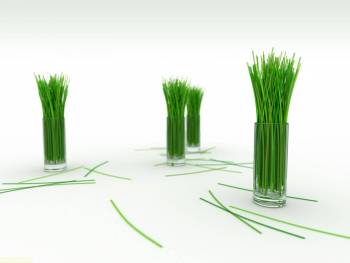 Вот такие вот обои, да-да, , странность, креатив, стакан, трава, 3D