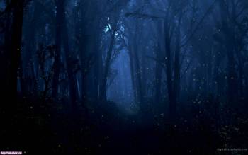 Мрачные обои на тему ночного леса - обои 1680х1050, , лес, туман, дымка, чаща, ночь, сумерки, луна