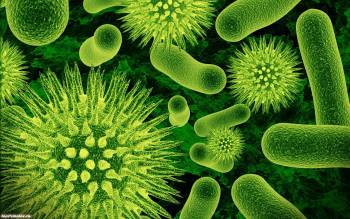 Микроорганизмы 3D, широкоформатные обои, , микроорганизмы, 3D, зеленый, увеличение, микробы