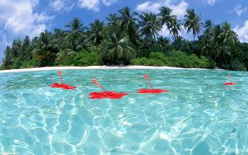 Широкоформатные обои - тропический остров, обои 1920х1200, , остров, тропики, океан, песок, пальмы, пляж, берег, небо, лето, рай, отдых