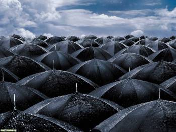 Черные зонты - дождливое настроение, , дождь, зонты, черный