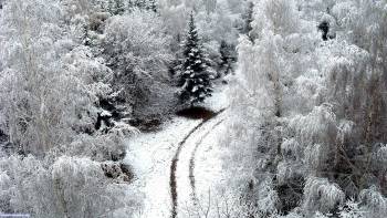 Дорога в зимнем лесу - обои природы, , снег, зима, дорога, ель, лес