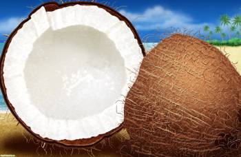 Кокос в разрезе - рисованные обои, , кокос, разрез, молоко, пальма