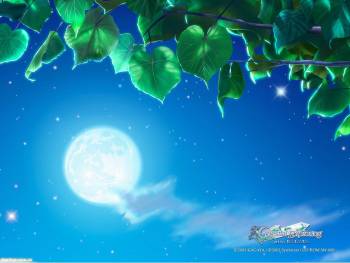 Ночное небо и полный месяц, красивые обои с полнолунием, , луна, месяц, полнолуние, небо, ночь