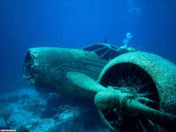 Затонувший самолет времен войны, обои с самолетами, , самолет, затонул, тина, глубина, под водой