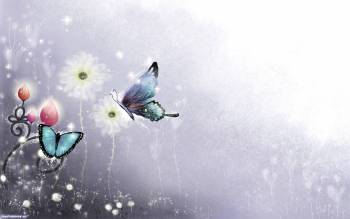 Красивые бабочки - обои с бабочками, , бабочка, цветы, мультяшки