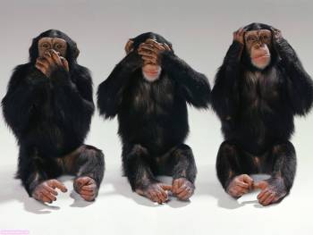 Три обезьяны – молчу, не вижу, не слышу, , три, обезьяна, шимпанзе