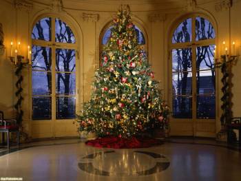 Шикарная рождественская елка - обои 2011, , праздник, Рождество, 2011, Новый год