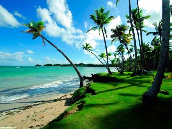 Шикарные яркие обои — райское местечко, , рай, тропики. пальмы, берег, пляж, прибой, песок, облака, газон, трава, зеленый, изумрудный