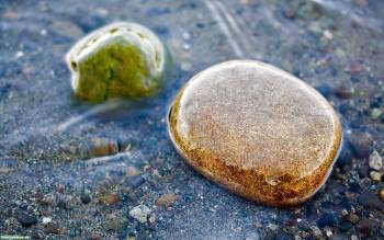 Мокрые камни на песке, красивые обои с камушками, , камни, мокрый, песок, вода, макро