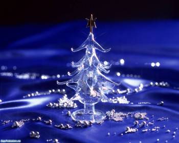 Маленькая елочка - обои с елками, , елка, стекло, сувенир, праздник, Новый год, зима