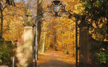 Ворота в осенний парк - обои осени на рабочий стол, , ворота, осень, золото, парк