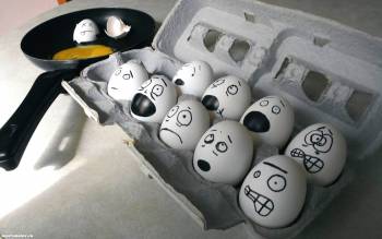 Переживание лотка с яйцами, креативные обои, , креатив, яйца, лоток, сковорода, яичница