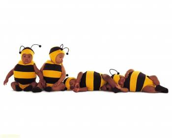 Обои с детьми на рабочий стол 1280x1024 пикселей, , дети, пчелы, костюм, фото, негро