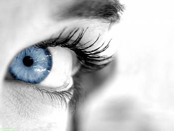 Женский глаз - обои с глазами, , глаз, голубой, ресницы