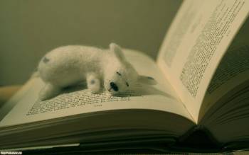 Мишка в книжке - обои на рабочий стол, , игрушка, медведь, книга, сон