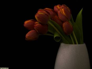Ваза с тюльпанами - обои с цветами 1600x1200 пикселей, , ваза, тюльпаны, букет, цветы
