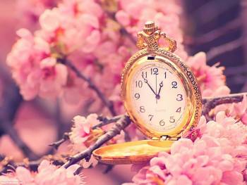 Цветение персика и карманные часы, обои 1600х1200, , часы, персик, цветение, розовый, весна