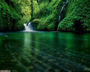 Обои водопад, зеленые обои с водопадом, , водопад, зеленый, горное озеро, заросли