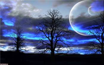 Луна и небо, вечер, , луна, небо, вечер, дерево