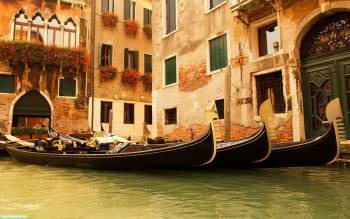 Венецианское утро, , лодка, цветы