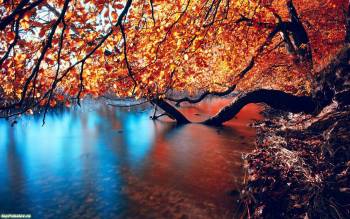 Пейзаж неземной красоты, , осень, водоём