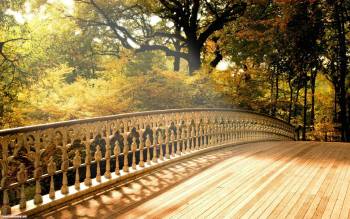 Мост в осенний лес - обои, , скачать, бесплатно