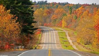 Осень в доль дороги - скачать бесплатно обои, , трасса, лес