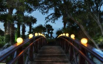 Вечерний мост.Скачать обои, , лампы, перила, пальмы