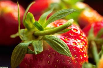 Сочная и вкусная ягода на ваш рабочий стол, , ягода, макро, клубника, еда