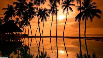 Закат в тропиках, красивые обои тропический закат, , тропики, закат, пальмы, вечер, отражение, тишина, безветрие, солнце, оранжевый