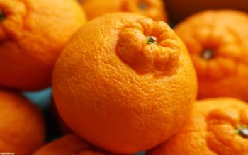 Оранжевые обои на рабочий стол, оранжевый цвет, , оранжевый, апельсины, апельсин, оранж, фрукт, фитрус