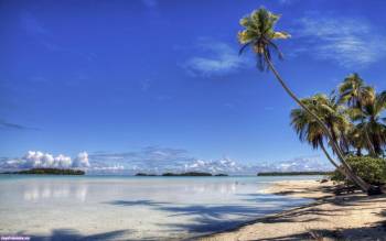 Красивые пальмы на берегу острова, широкоформатные обои 1920*1200, Синий океан и острова, океан, лагуна, пальмы, горизонт