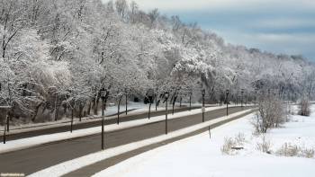 Зимняя дорога HD обои, Зимние обои, дорога, зима, снег, полотно