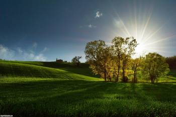 Рассвет над зеленым полем, , поле, деревья, солнце, лучи, безмятежность
