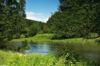 Река в Германии зеленый пейзаж, Шикарный вид на крассивую  прероду в Баварии, Река, Германия, schwarzach, Бавария, Природа, Зеленый