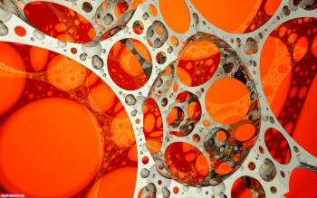 Серые круги на оранжевом фоне, Абстрактные широкоформатные обои для вашего рабочего стола, круги, оранжевый, абстракция