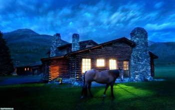 Лошадь возле дома, Вечерний пейзаж, ночь, конь, дом, зелень, животные