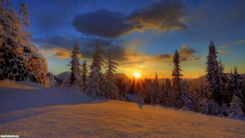 Восход солнца в зимнем лесу, Зимний пейзаж, Снег, ель, новый год, зима, елка, солнце