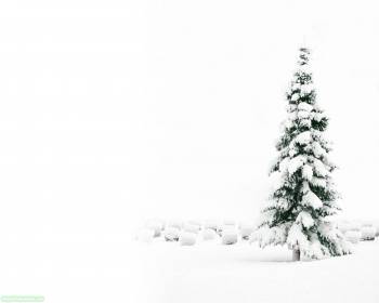 Елка на заснеженом фоне, Зимний заснеженный пейзаж, новый год, зима, настроение, светлый, снег, елка