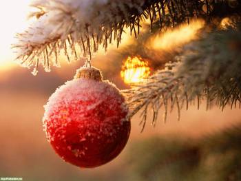 Новогоднее настроение, Новогодние игрушки на зимней елке, игрушки, новый год, зима, елка, снег