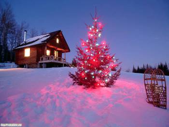 Новогодняя елка у дома, , новый год, елка, герлянда, снег, зима